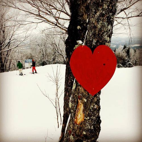 CONDITIONS DE SKI - MONT SUTTON - St-Valentin à la montagne